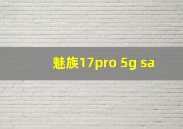 魅族17pro 5g sa